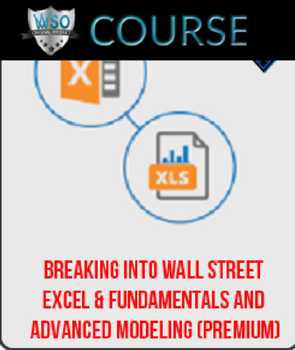 breaking-into-wall-street-excel-fundamentals-and-advanced-modeling-premium