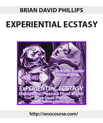 BRIAN DAVID PHILLIPS EXPERIENTIAL ECSTASY 2