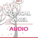 CC11 Topical Panel 02 – Internal Systems