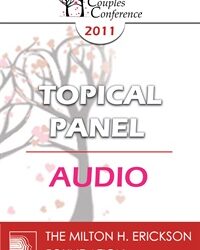 CC11 Topical Panel 02 - Internal Systems