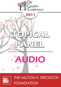 CC11 Topical Panel 02 - Internal Systems