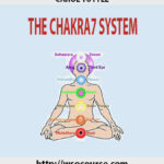 carol-tuttle-the-chakra7-system