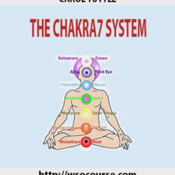carol-tuttle-the-chakra7-system