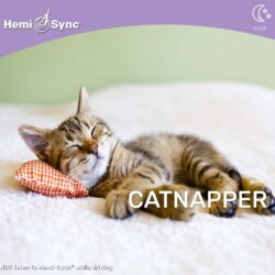 Hemi-Sync - Catnapper