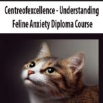 Centreofexcellence – Understanding Feline Anxiety Diploma Course