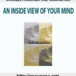 charles-faulkner-sub-modalities-an-inside-view-of-your-mind