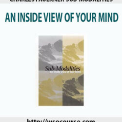 charles-faulkner-sub-modalities-an-inside-view-of-your-mind