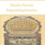 Charles-Perrow-Organizing-America