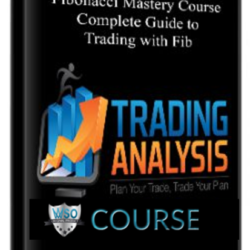 complete-guide-to-trading-with-fib