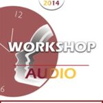 BT14 Workshop 05 – Tools of Generative Psychotherapy