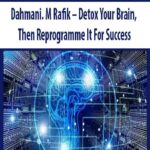 Dahmani.-M-Rafik-Detox-Your-Brain,-Then-Reprogramme-It-For-Success