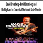 David Bromberg – David Bromberg and His Big Band In Concert at The Count Basie Theatre