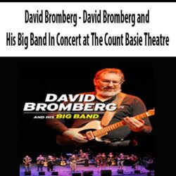 David Bromberg - David Bromberg and His Big Band In Concert at The Count Basie Theatre