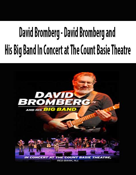 David Bromberg - David Bromberg and His Big Band In Concert at The Count Basie Theatre