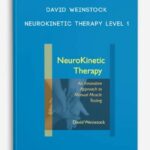 David-Weinstock-–-NeuroKinetic-Therapy-–-Level-1-400×556