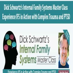 Dick Schwartz’s Internal Family Systems Master Class Experience IFS in Action with Complex Trauma and PTSD
