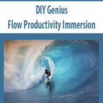 DIY-Genius-Flow-Productivity-Immersion