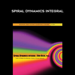 Don Beck – SPIRAL DYNAMICS INTEGRAL
