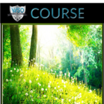dr-elaine-ingham-compost-class