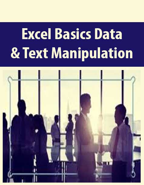 Excel Basics Data & Text Manipulation