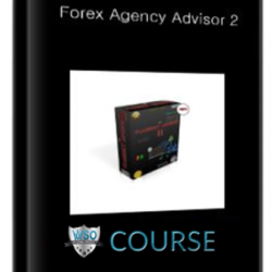 forex-agency-advisor-2