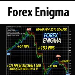 Forex Enigma