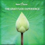 Gratitude-Experience_2020-scaled