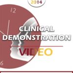 BT14 Clinical Demonstration 02 – Transforming Grief into Gratitude – Steve Andreas, MA