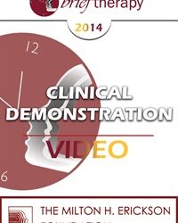 BT14 Clinical Demonstration 02 - Transforming Grief into Gratitude - Steve Andreas, MA