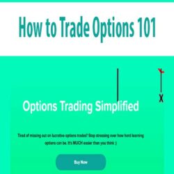 How to Trade Options 101