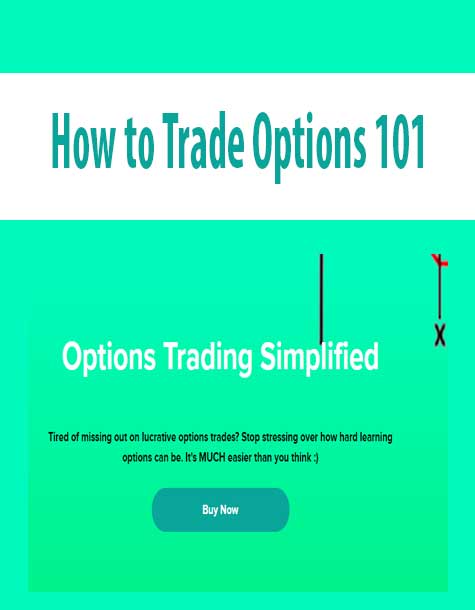 How to Trade Options 101