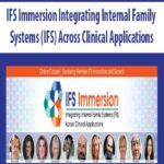 IFS Immersion Integrating Internal Family Systems (IFS) Across Clinical Applications