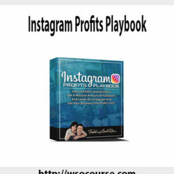 instagram-profits-playbook