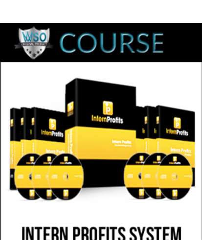 intern-profits-system