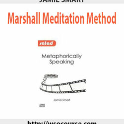 jamie-smart-metaphorically-speaking