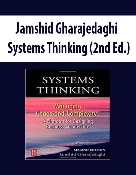 Jamshid Gharajedaghi – Systems Thinking (2nd Ed.)