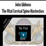 john-gibbons-the-vital-cervical-spine-masterclass.jpg