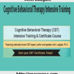 john-ludgate-cognitive-behavioral-therapy-intensive-training