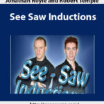 jonathan-royle-and-robert-temple-see-saw-inductions2