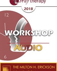 BT18 Workshop 12 - Targeted Treatment for Anxious Families