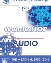 EP85 Workshop 02 - Supervision in Group Psychotherapy - Robert L. Goulding, M.D.