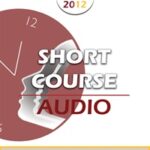 BT12 Short Course 44 – Brief Therapy with Single Mothers