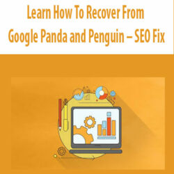 Learn How To Recover From Google Panda and Penguin – SEO Fix