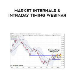 Linda Raschke – Market Internals & Intraday Timing Webinar
