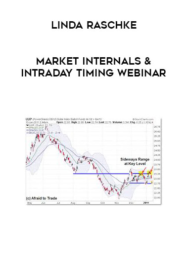 Linda Raschke – Market Internals & Intraday Timing Webinar