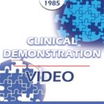 EP85 Clinical Presentation 10 – Using Metaphor and the Interspersal Technique – Jeffrey K. Zeig, Ph.D.