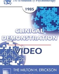 EP85 Clinical Presentation 10 - Using Metaphor and the Interspersal Technique - Jeffrey K. Zeig, Ph.D.