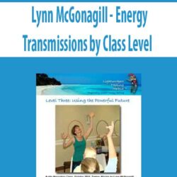 Lynn McGonagill - Energy Transmissions by Class Level