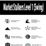 market-stalkers-level-1-swing.jpg