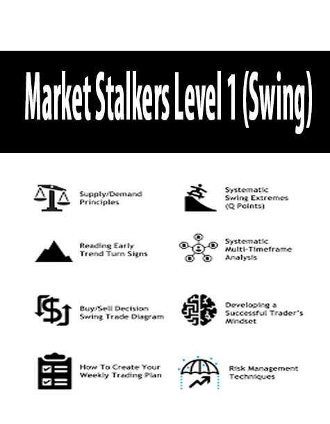 Market Stalkers Level 1 (Swing)